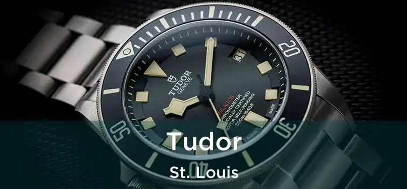 Tudor St. Louis